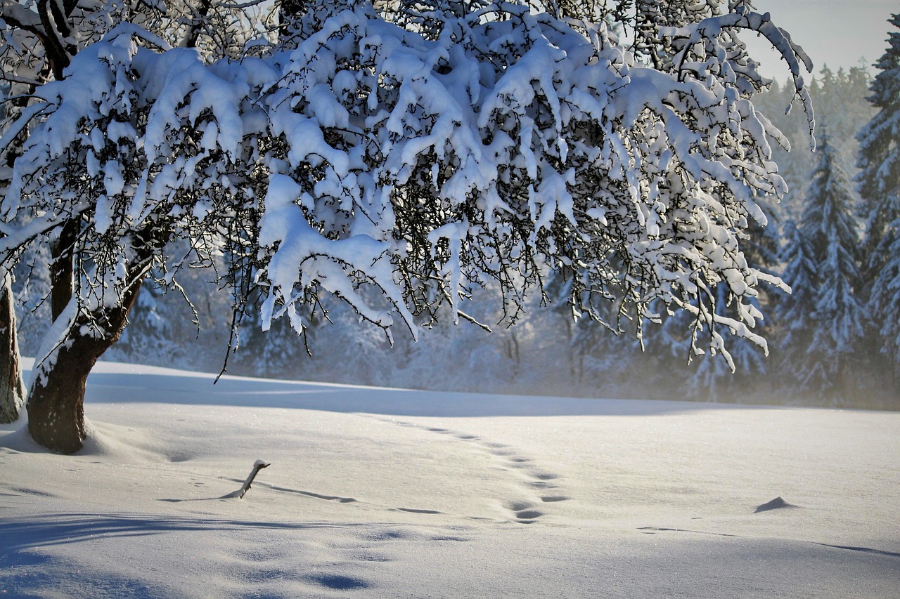 Blog 34 Winter Home Security